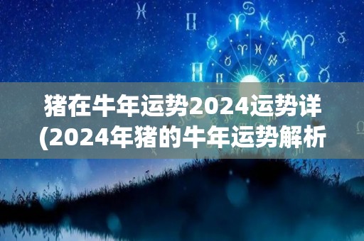 猪在牛年运势2024运势详(2024年猪的牛年运势解析)