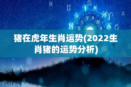 猪在虎年生肖运势(2022生肖猪的运势分析)