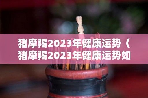 猪摩羯2023年健康运势（猪摩羯2023年健康运势如何）