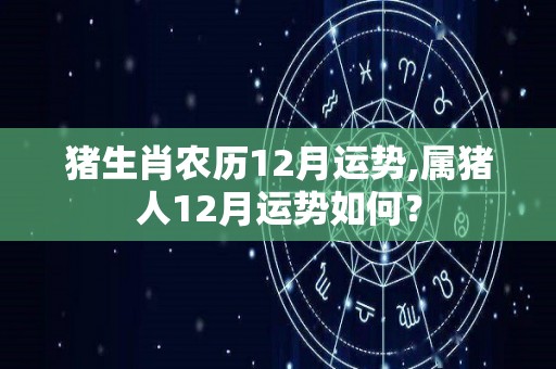 猪生肖农历12月运势,属猪人12月运势如何？