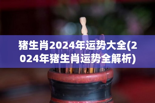 猪生肖2024年运势大全(2024年猪生肖运势全解析)