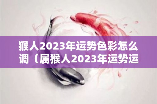 猴人2023年运势色彩怎么调（属猴人2023年运势运程）