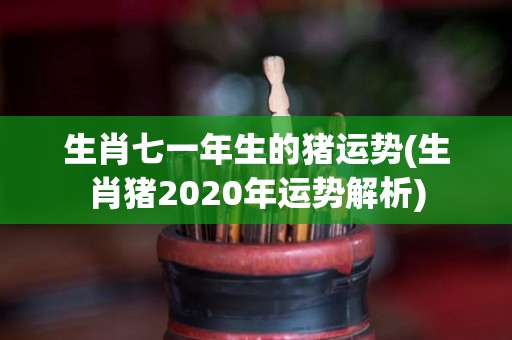 生肖七一年生的猪运势(生肖猪2020年运势解析)