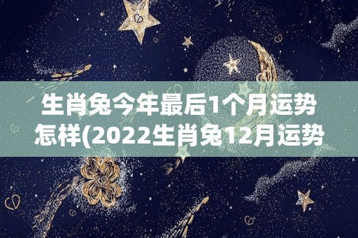 生肖兔今年最后1个月运势怎样(2022生肖兔12月运势：顺势而为，财运亨通)