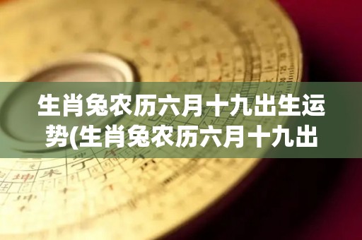 生肖兔农历六月十九出生运势(生肖兔农历六月十九出生的运势分析与解读)