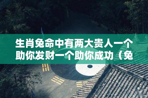 生肖兔命中有两大贵人一个助你发财一个助你成功（兔的一生贵人）