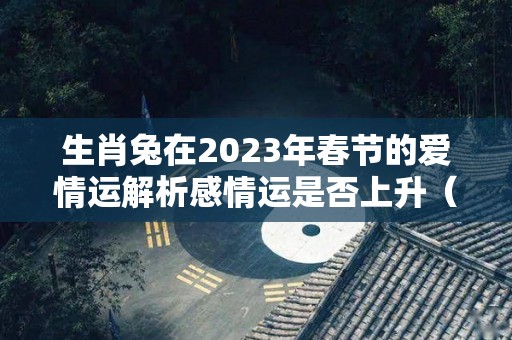 生肖兔在2023年春节的爱情运解析感情运是否上升（属兔2023年运势）