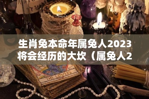 生肖兔本命年属兔人2023将会经历的大坎（属兔人2021年本命年如何）