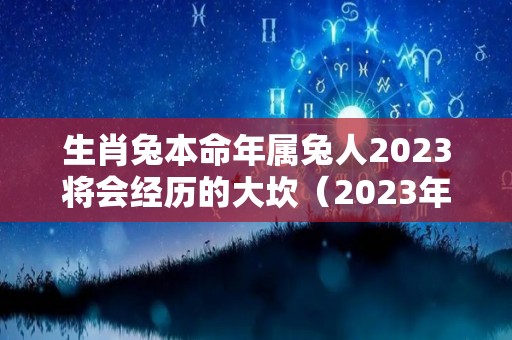 生肖兔本命年属兔人2023将会经历的大坎（2023年属兔本命年有灾吗）