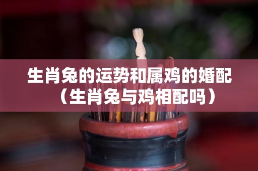 生肖兔的运势和属鸡的婚配（生肖兔与鸡相配吗）