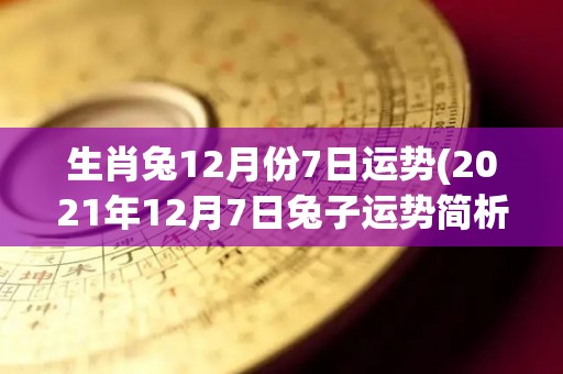 生肖兔12月份7日运势(2021年12月7日兔子运势简析)