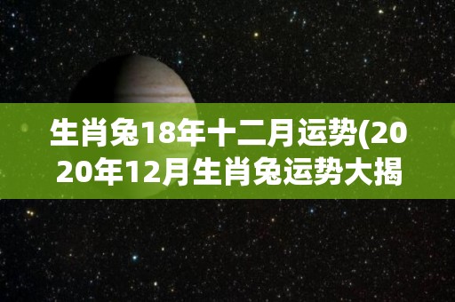 生肖兔18年十二月运势(2020年12月生肖兔运势大揭秘！)