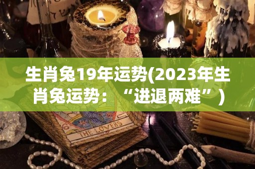 生肖兔19年运势(2023年生肖兔运势：“进退两难”)