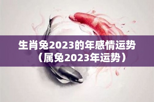 生肖兔2023的年感情运势（属兔2023年运势）