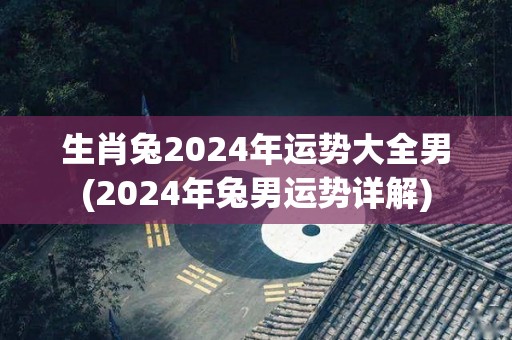 生肖兔2024年运势大全男(2024年兔男运势详解)