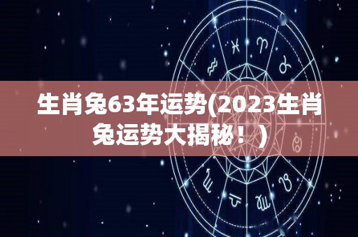 生肖兔63年运势(2023生肖兔运势大揭秘！)