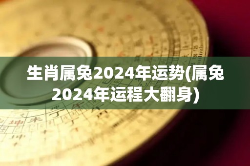 生肖属兔2024年运势(属兔2024年运程大翻身)