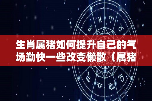 生肖属猪如何提升自己的气场勤快一些改变懒散（属猪的怎样改变命运和运气）