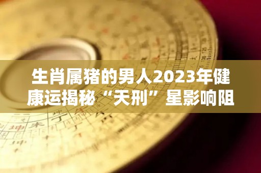 生肖属猪的男人2023年健康运揭秘“天刑”星影响阻滞较多（属猪的2023年运势和财运怎么样）