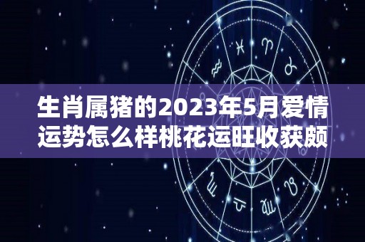 生肖属猪的2023年5月爱情运势怎么样桃花运旺收获颇多（2023年属猪的命运）