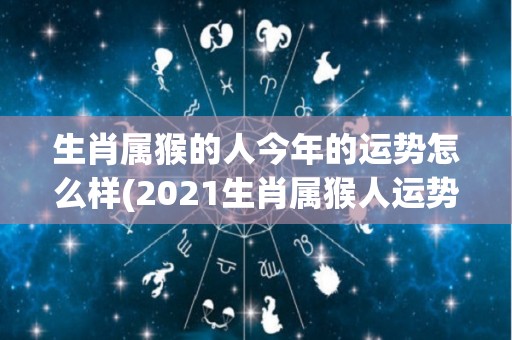 生肖属猴的人今年的运势怎么样(2021生肖属猴人运势解析)