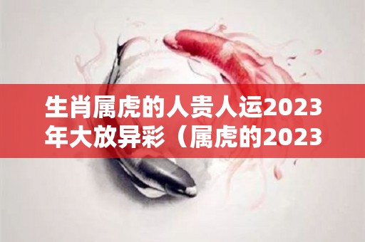 生肖属虎的人贵人运2023年大放异彩（属虎的2023年运势和财运怎么样）