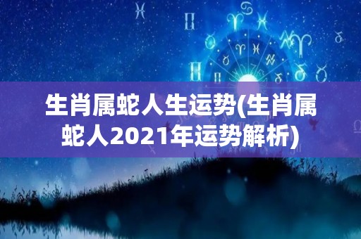 生肖属蛇人生运势(生肖属蛇人2021年运势解析)