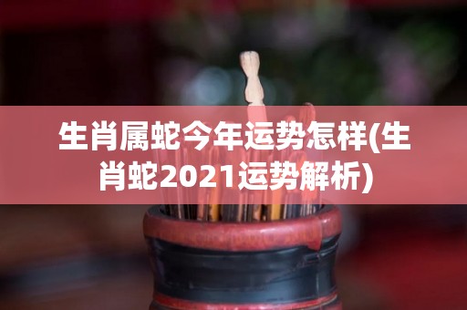 生肖属蛇今年运势怎样(生肖蛇2021运势解析)