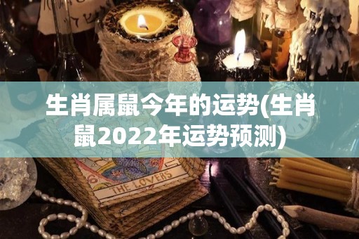 生肖属鼠今年的运势(生肖鼠2022年运势预测)