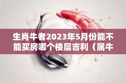 生肖牛者2023年5月份能不能买房哪个楼层吉利（属牛的2023年适合生孩子吗）