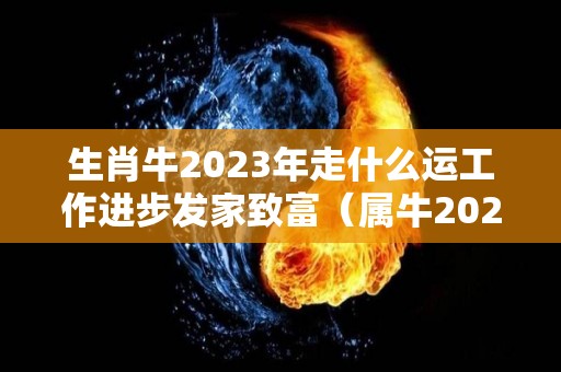 生肖牛2023年走什么运工作进步发家致富（属牛2023年的运气和财运怎么样）