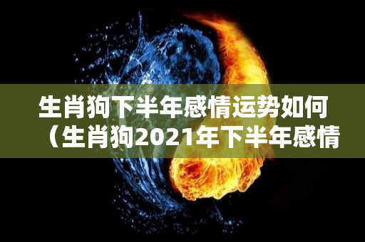 生肖狗下半年感情运势如何（生肖狗2021年下半年感情运势）