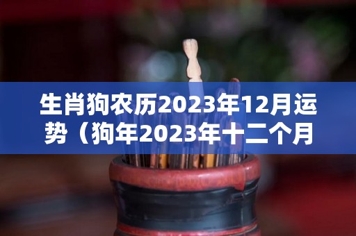 生肖狗农历2023年12月运势（狗年2023年十二个月的运势及运程）