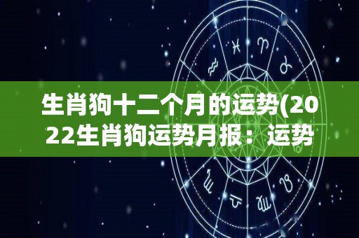 生肖狗十二个月的运势(2022生肖狗运势月报：运势好转，顺风顺水！)