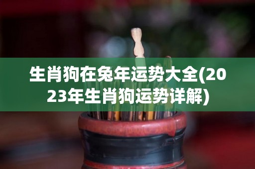 生肖狗在兔年运势大全(2023年生肖狗运势详解)