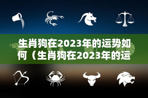 生肖狗在2023年的运势如何（生肖狗在2023年的运势以及注意月份）