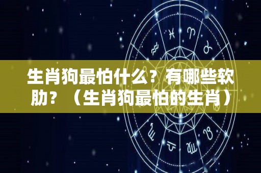 生肖狗最怕什么？有哪些软肋？（生肖狗最怕的生肖）