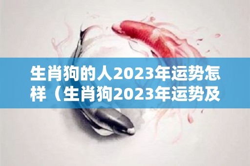 生肖狗的人2023年运势怎样（生肖狗2023年运势及运程）