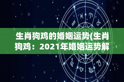 生肖狗鸡的婚姻运势(生肖狗鸡：2021年婚姻运势解析)