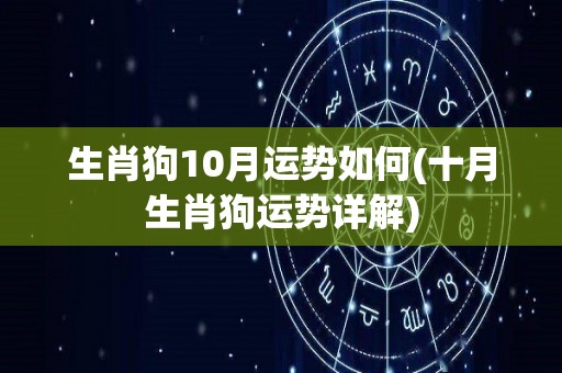 生肖狗10月运势如何(十月生肖狗运势详解)