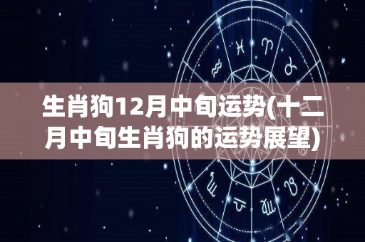 生肖狗12月中旬运势(十二月中旬生肖狗的运势展望)