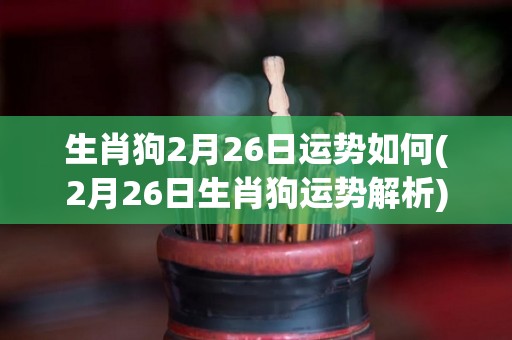 生肖狗2月26日运势如何(2月26日生肖狗运势解析)