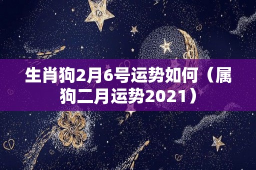 生肖狗2月6号运势如何（属狗二月运势2021）