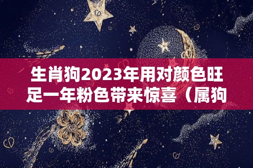 生肖狗2023年用对颜色旺足一年粉色带来惊喜（属狗人2023年）