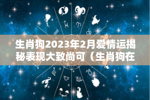 生肖狗2023年2月爱情运揭秘表现大致尚可（生肖狗在2023年的运势以及注意月份）