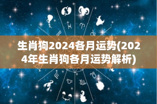 生肖狗2024各月运势(2024年生肖狗各月运势解析)