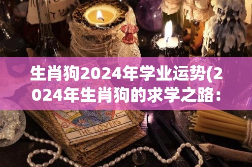 生肖狗2024年学业运势(2024年生肖狗的求学之路：机遇与挑战并存！)