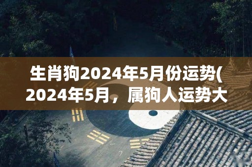 生肖狗2024年5月份运势(2024年5月，属狗人运势大好！)