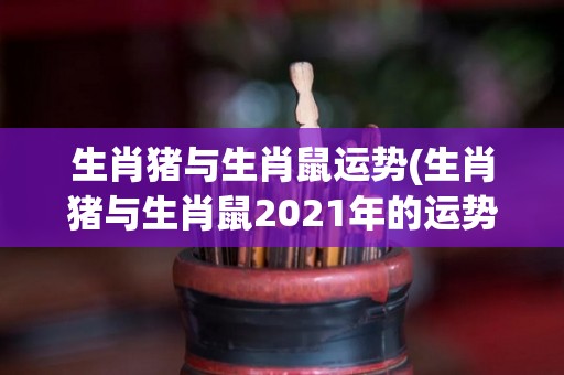 生肖猪与生肖鼠运势(生肖猪与生肖鼠2021年的运势预测)