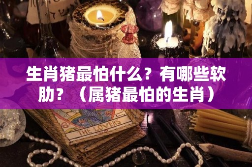 生肖猪最怕什么？有哪些软肋？（属猪最怕的生肖）